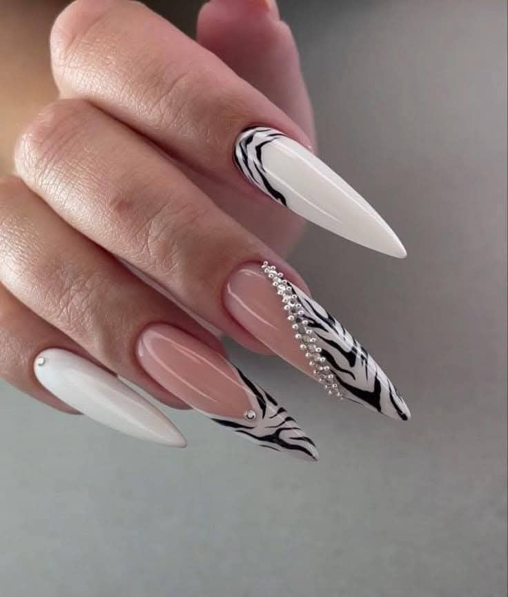 Savanna Chic